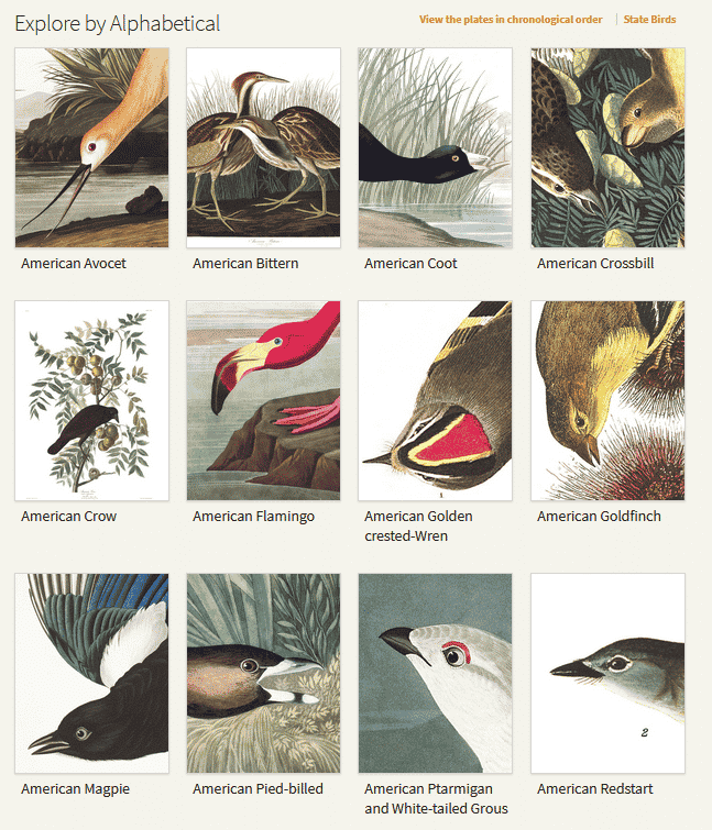 audubon Content Hub